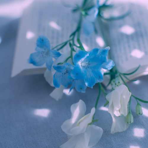 Ahange Dubai Dubai [SevilMusic]